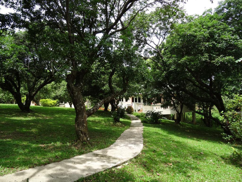 Chang Garden Resort Mae Chan Esterno foto