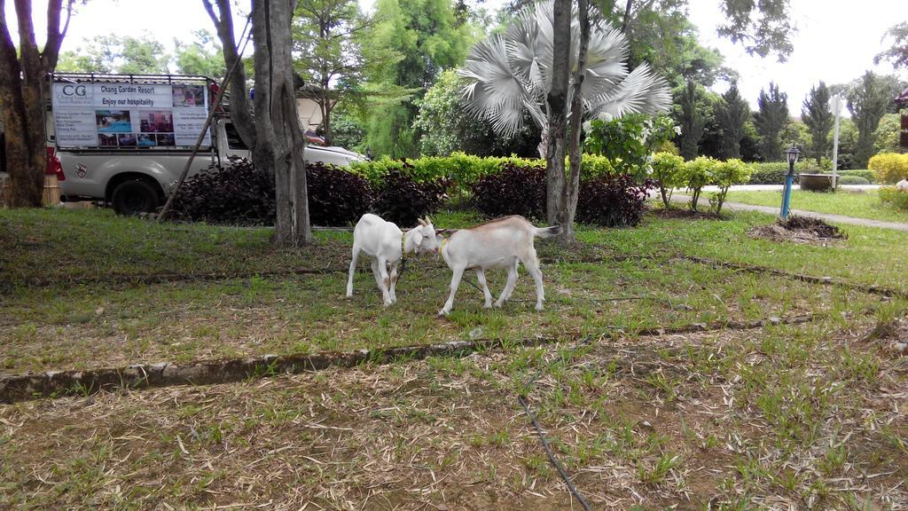 Chang Garden Resort Mae Chan Esterno foto